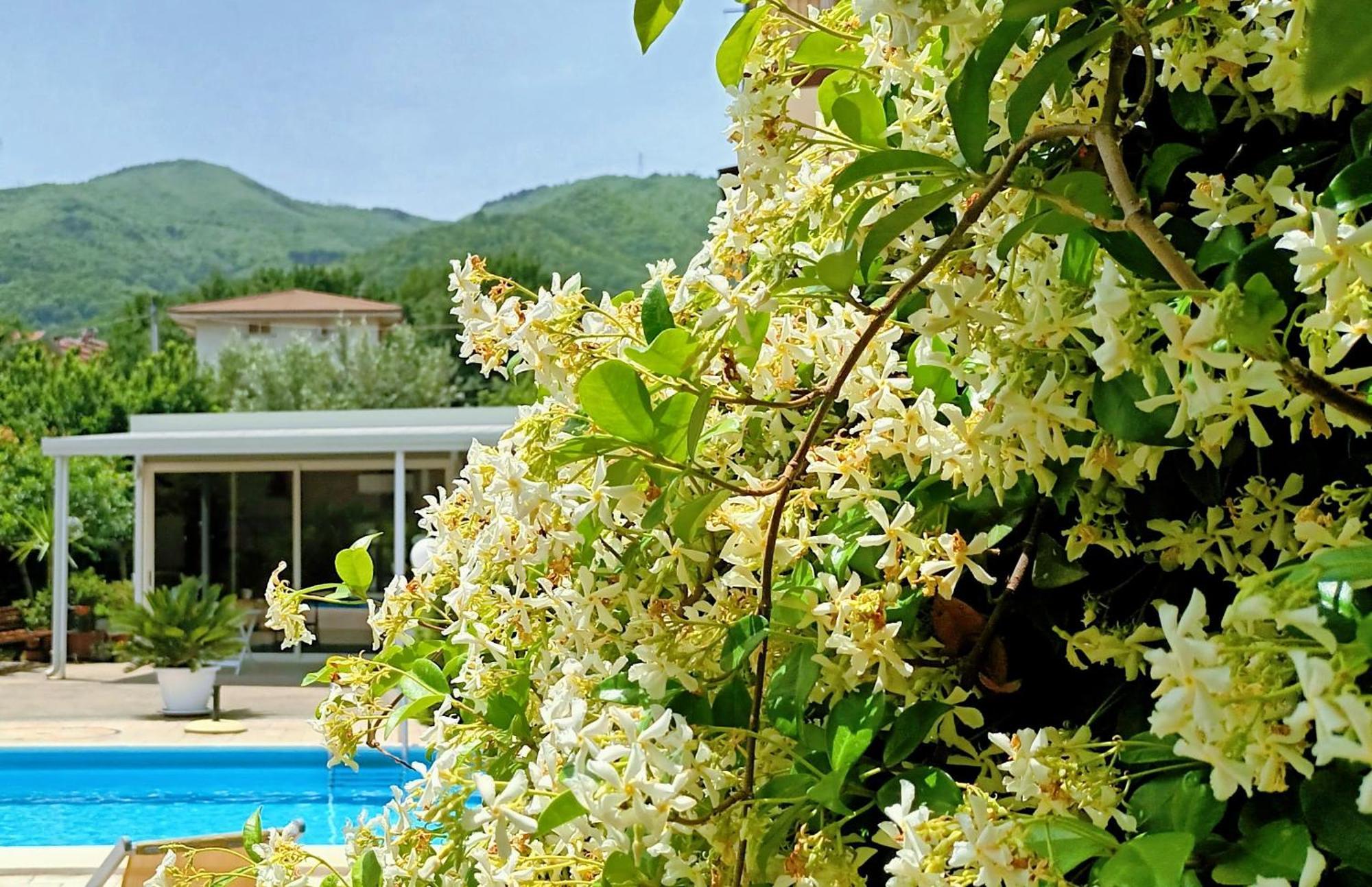 La Residenza Del Marchesato Bed & Breakfast Marano Marchesato Екстериор снимка